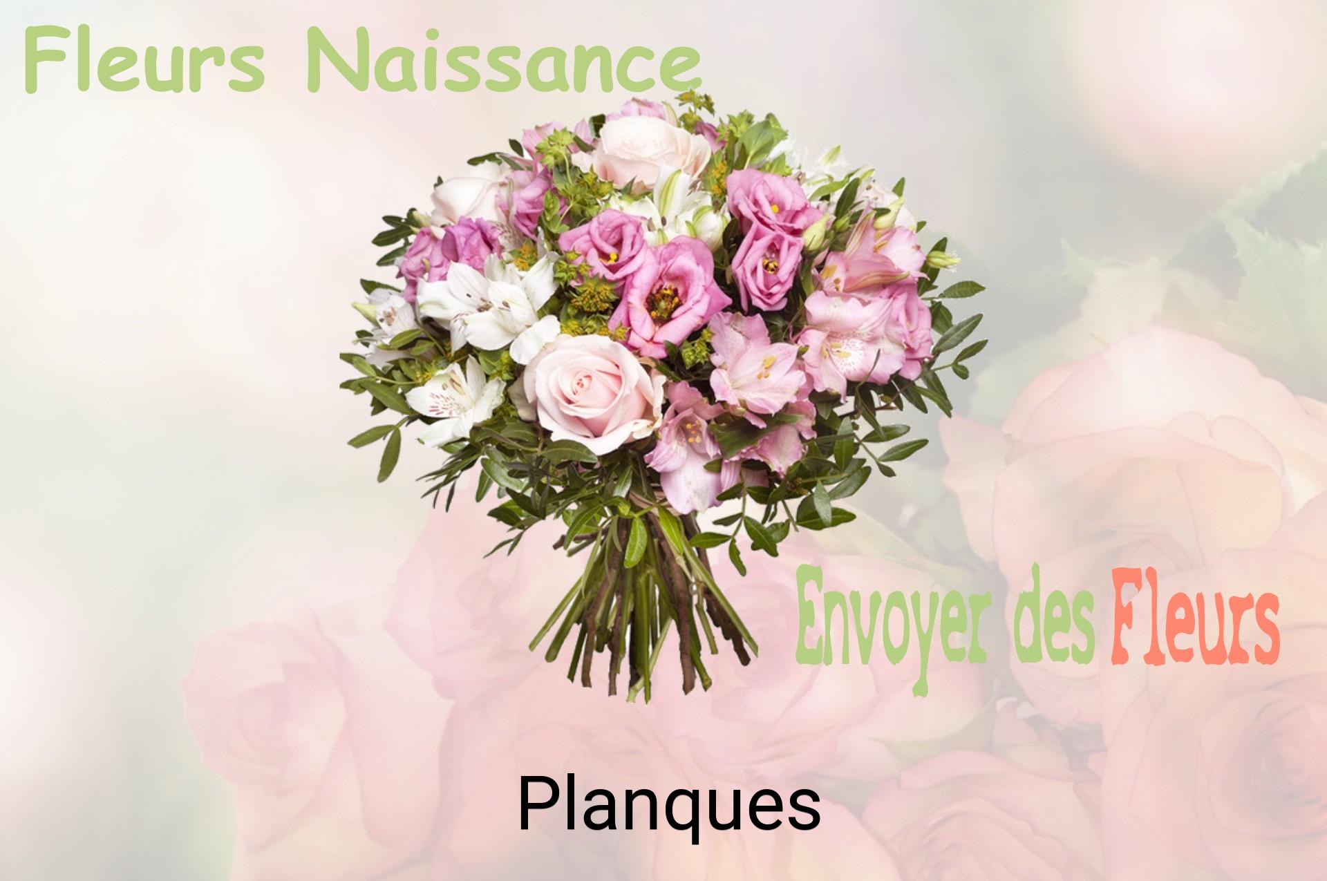 Bouquet de fleurs de naissance livré à Planques